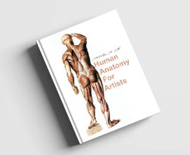 کتاب آموزشی آناتومی انسان برای هنرمندان
