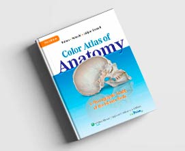 کتاب اطلس رنگی آناتومی - مطالعه عکس های بدن انسان