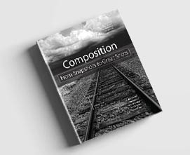 کتاب عکاسی ترکیب بندی - از عکس معمولی به عالی - لوری اکسل