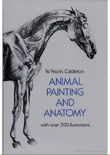کتاب نقاشی حیوانات و آناتومی - فرانک کالدرون