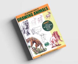 کتاب راهنمای جو ودرلی برای طراحی از حیوانات - جو ودرلی