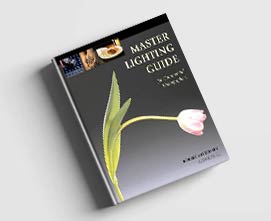 کتاب راهنمای نورپردازی حرفه ای - اثر روبرت موریسی
